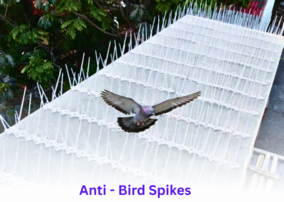 Bird & Pigeon Spikes